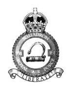 161 squadron crest